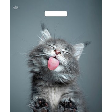 Мешок ламинат (выр.руч) 380*450 (60мкр) Кот